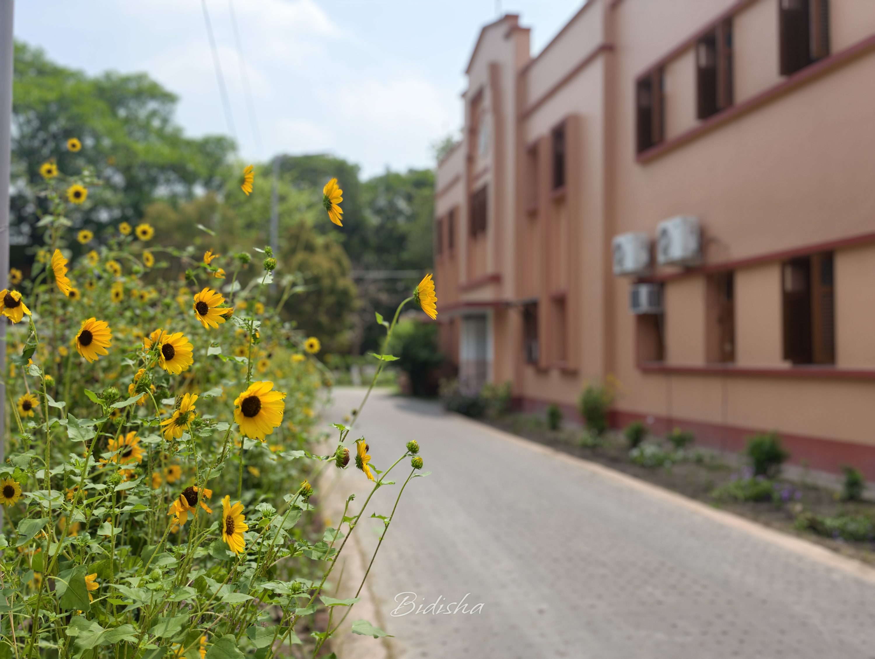Women College in dumdum